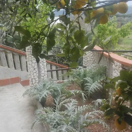 アパート Teresa *