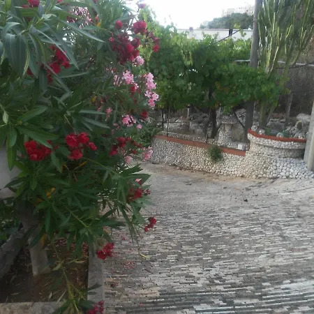 Teresa アパート ペスキチ