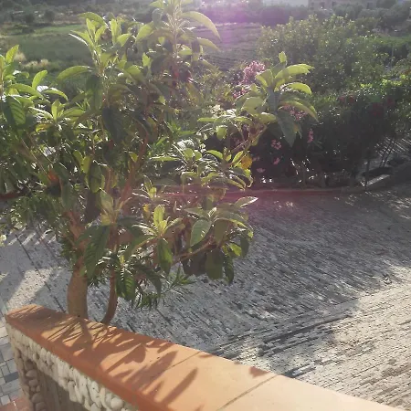 アパート Teresa *